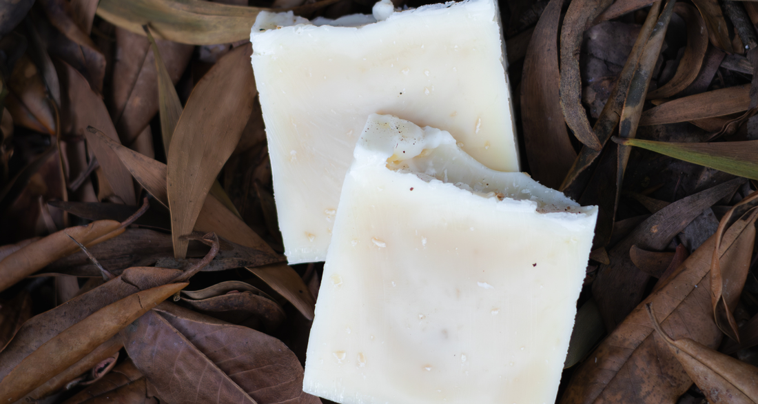 Morning Wood Tallow & Beeswax Soap — Cedarwood Cleanse for Hydrated, Nourished and Balanced Skin