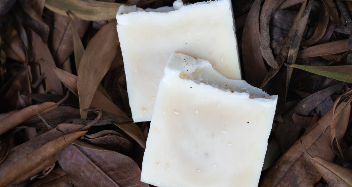 Morning Wood Tallow & Beeswax Soap — Cedarwood Cleanse for Hydrated, Nourished and Balanced Skin