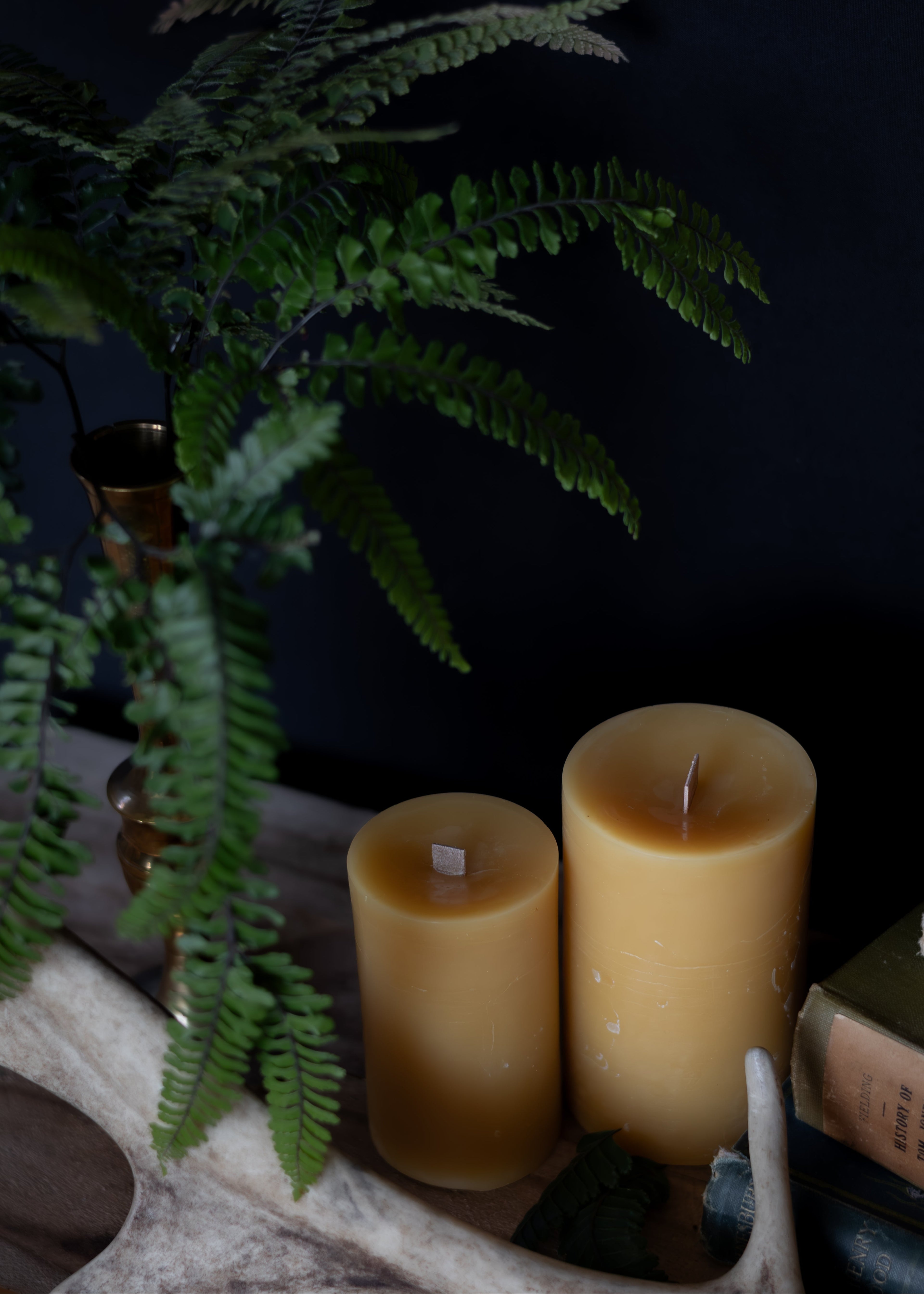 Two beeswax candles with a plant in the background