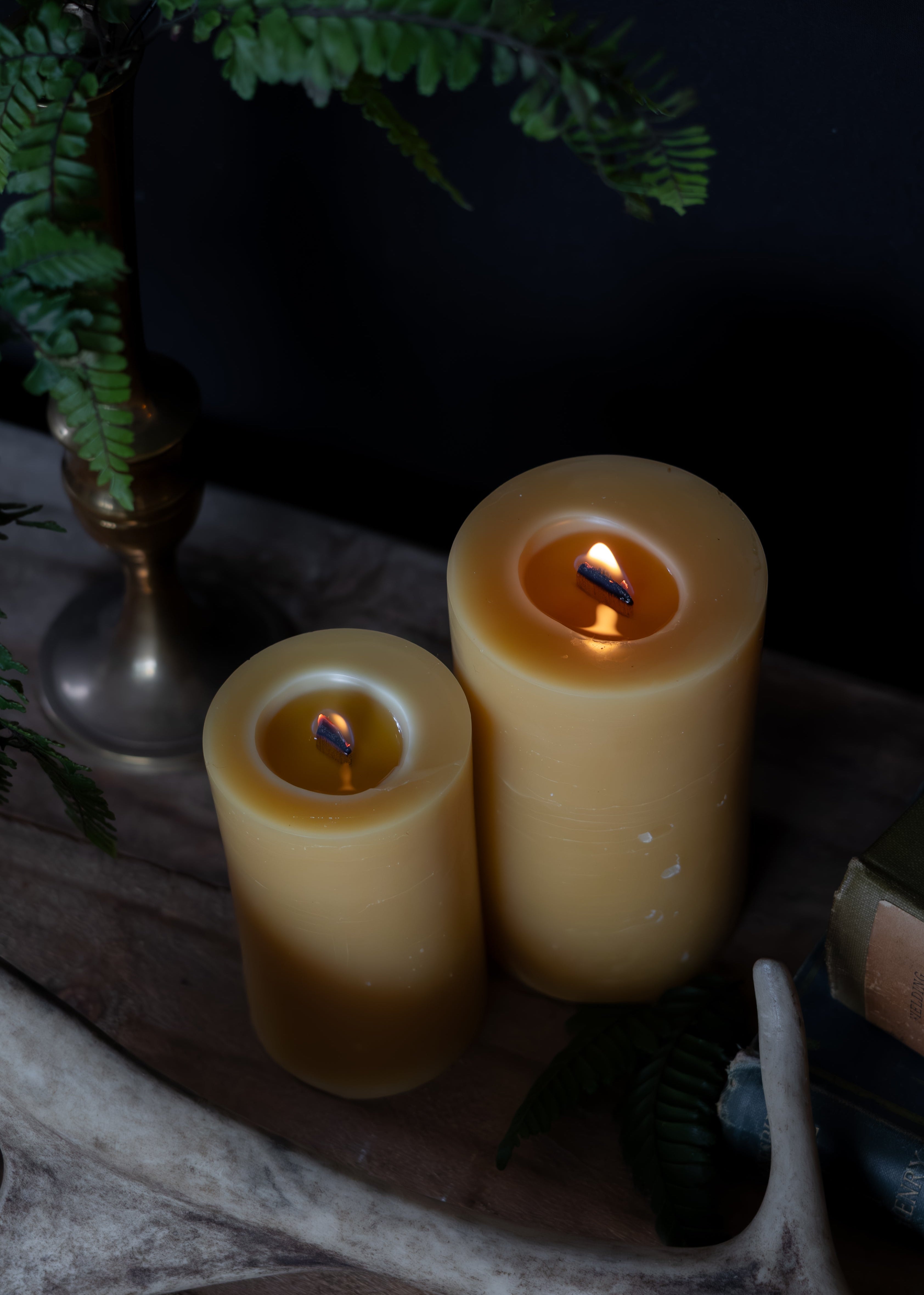 Two lit candles on a dark surface with a plant in the background