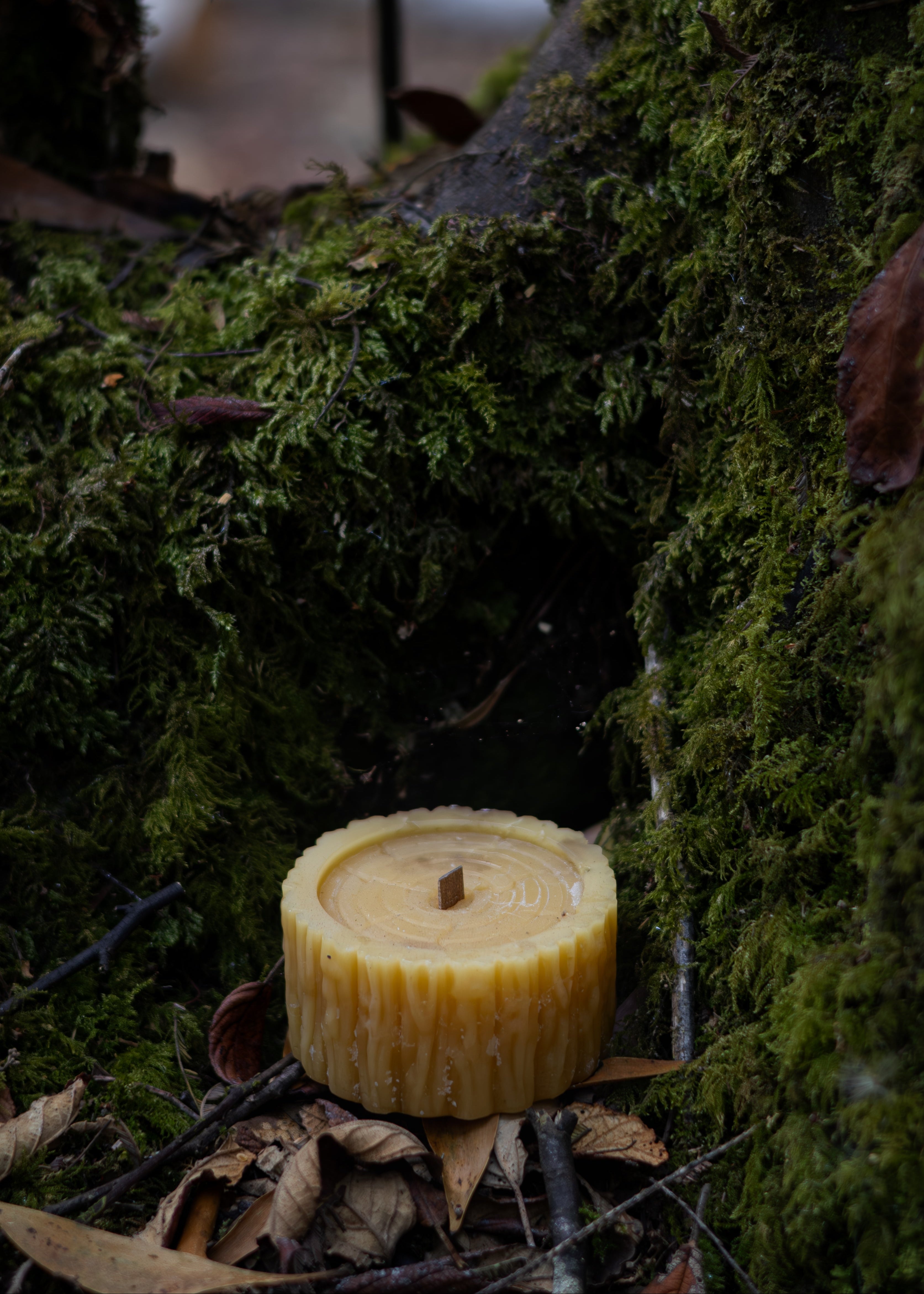 Beeswax candle on a mossy tree stump in a forest setting