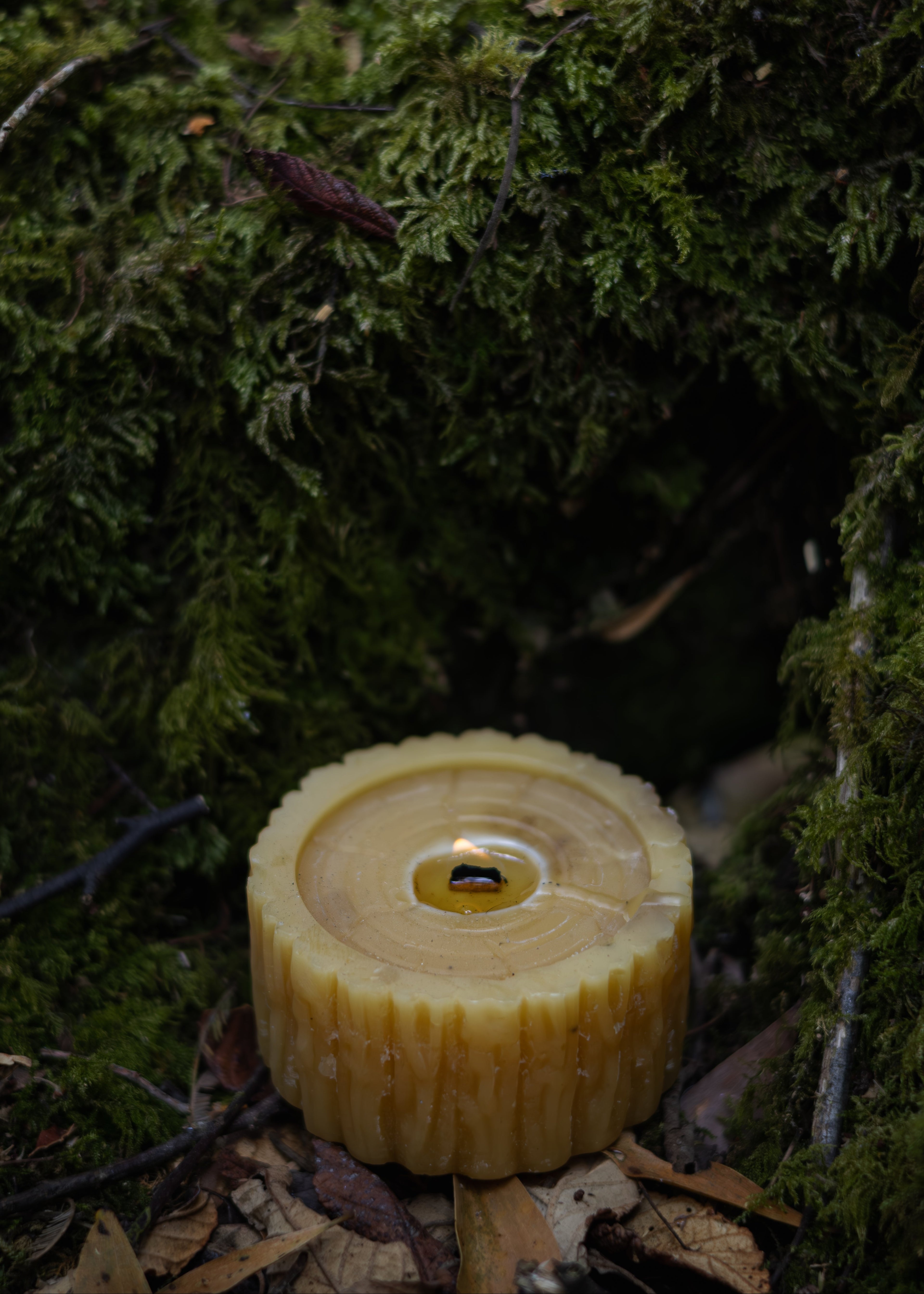 Beeswax candle on a mossy surface
