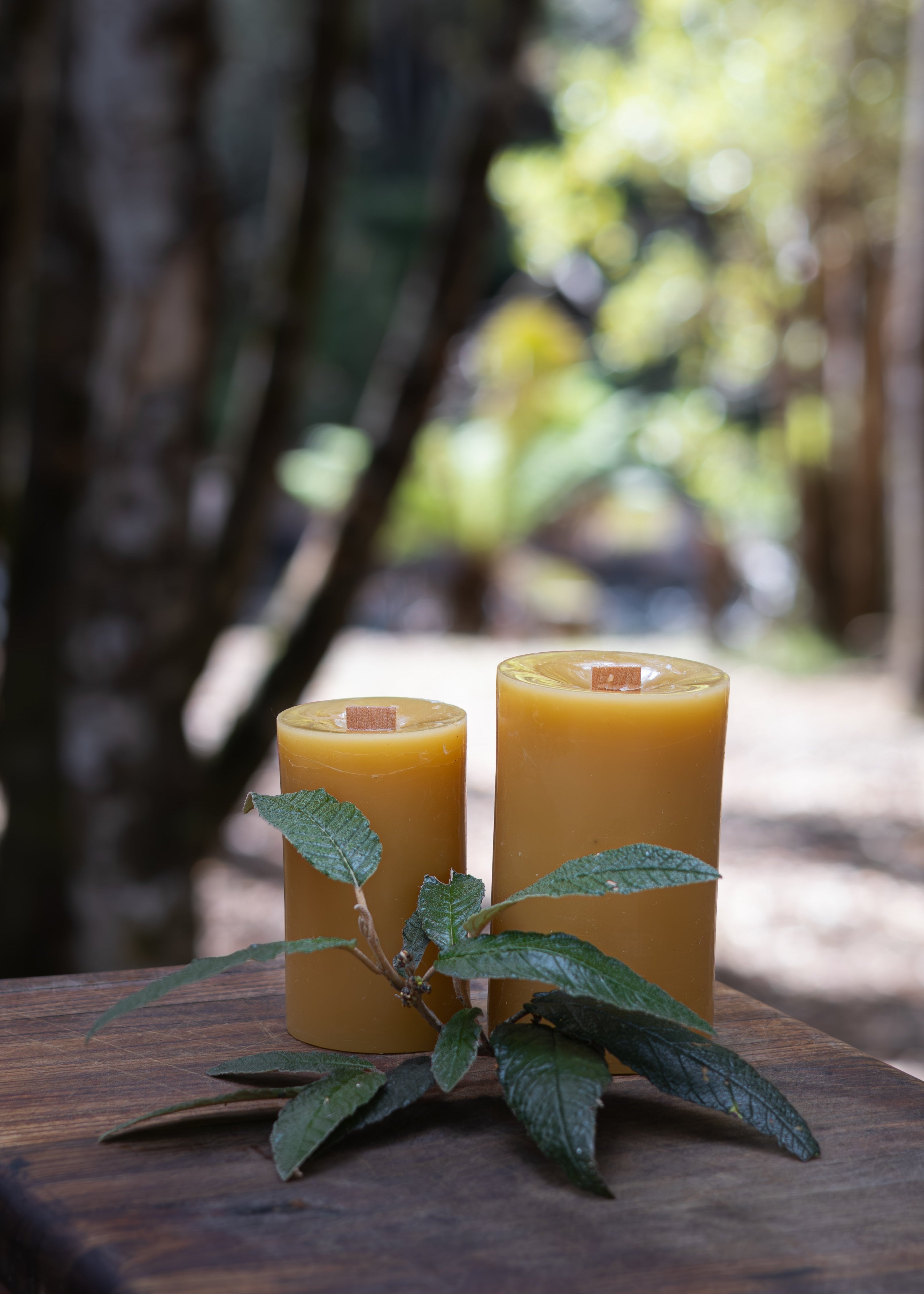 Two yellow candles on a wooden surface with a blurred natural background