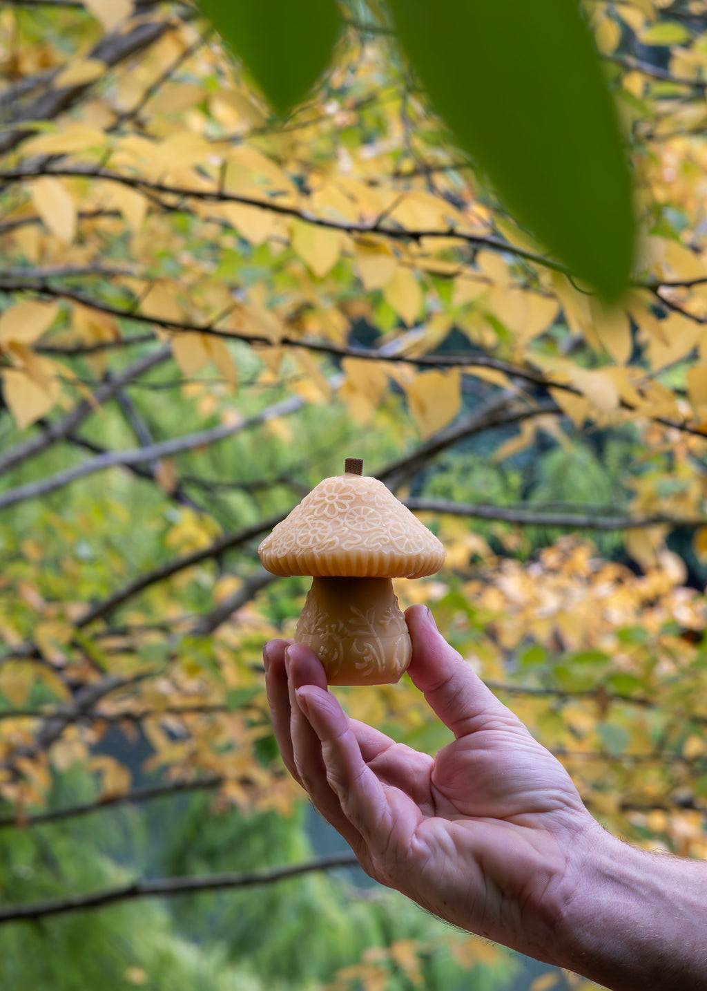 MUSHROOM | TASMANIAN BEESWAX CANDLE