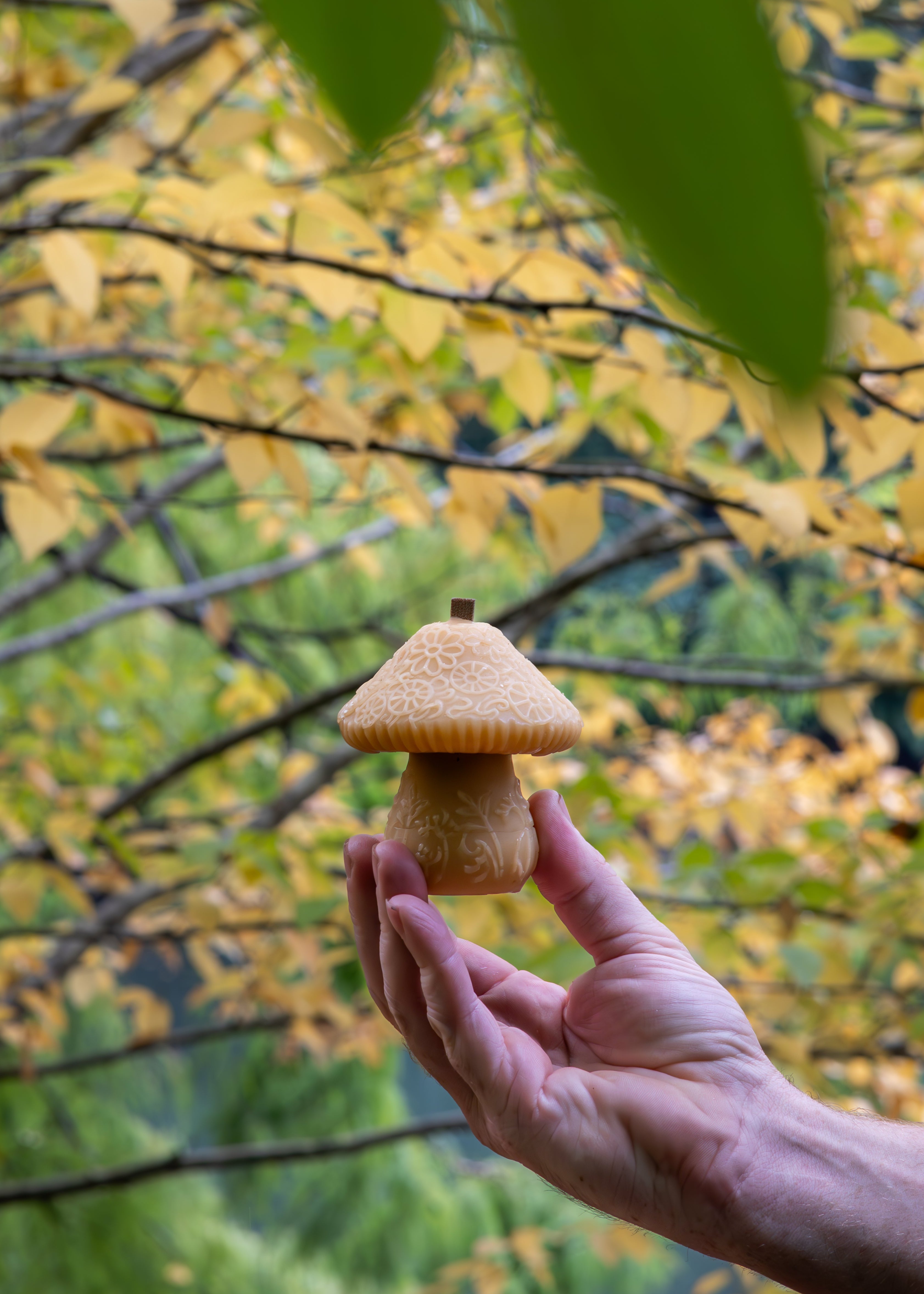 MUSHROOM | TASMANIAN BEESWAX CANDLE