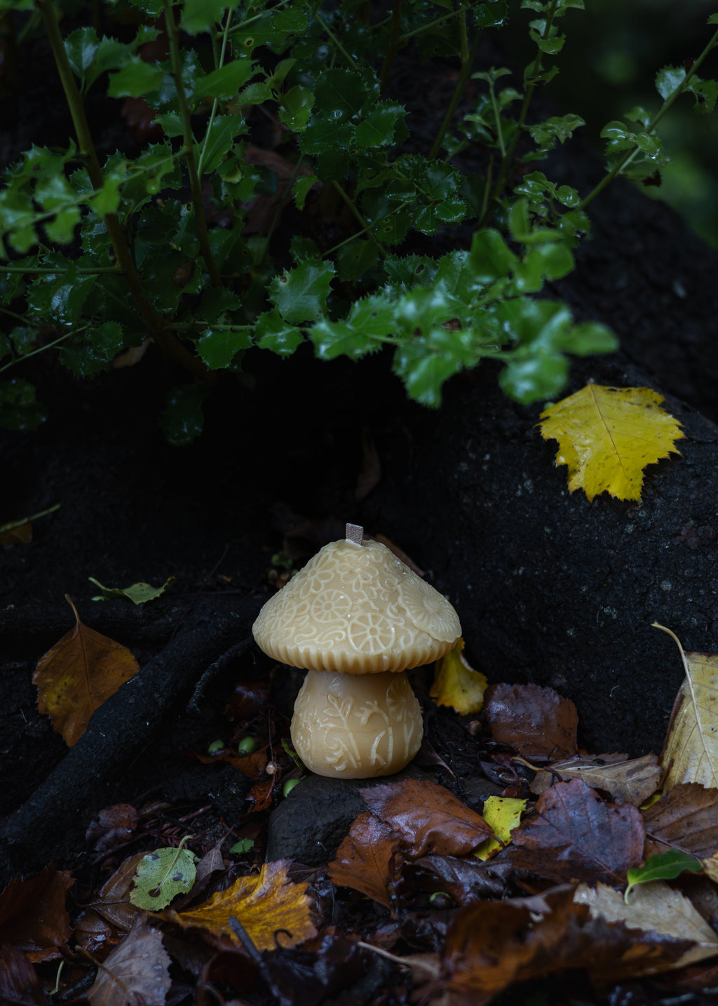MUSHROOM | TASMANIAN BEESWAX CANDLE