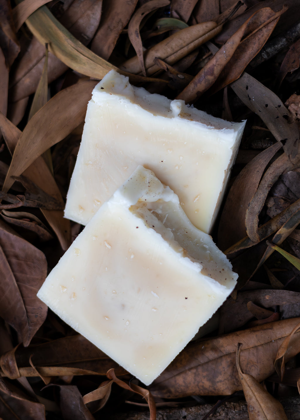 Morning Wood Tallow & Beeswax Cedarwood Soap bar with cedarwood oil, nourishing and hydrating skin, on dried leaves.