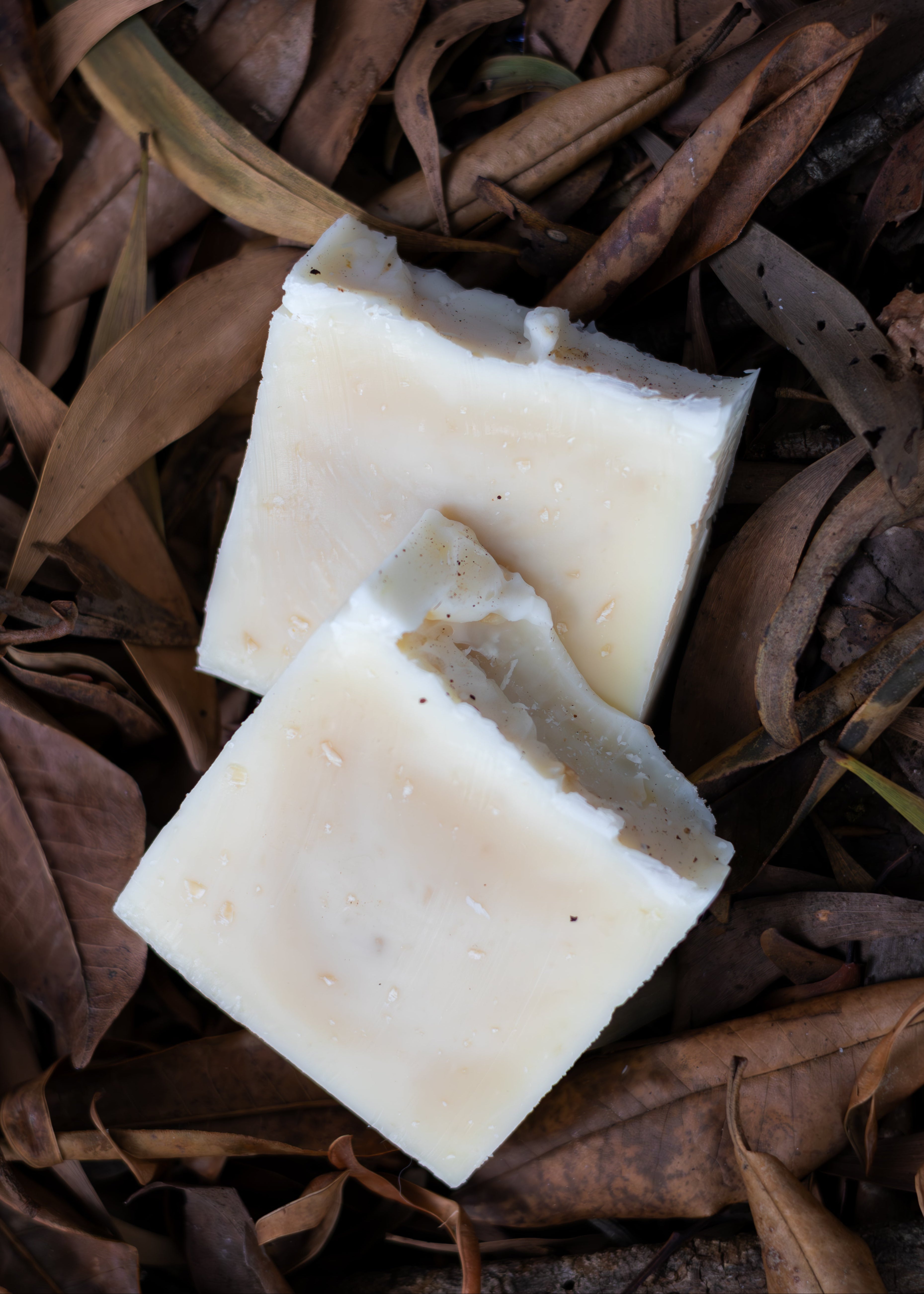 Morning Wood Tallow & Beeswax Cedarwood Soap bar with cedarwood oil, nourishing and hydrating skin, on dried leaves.