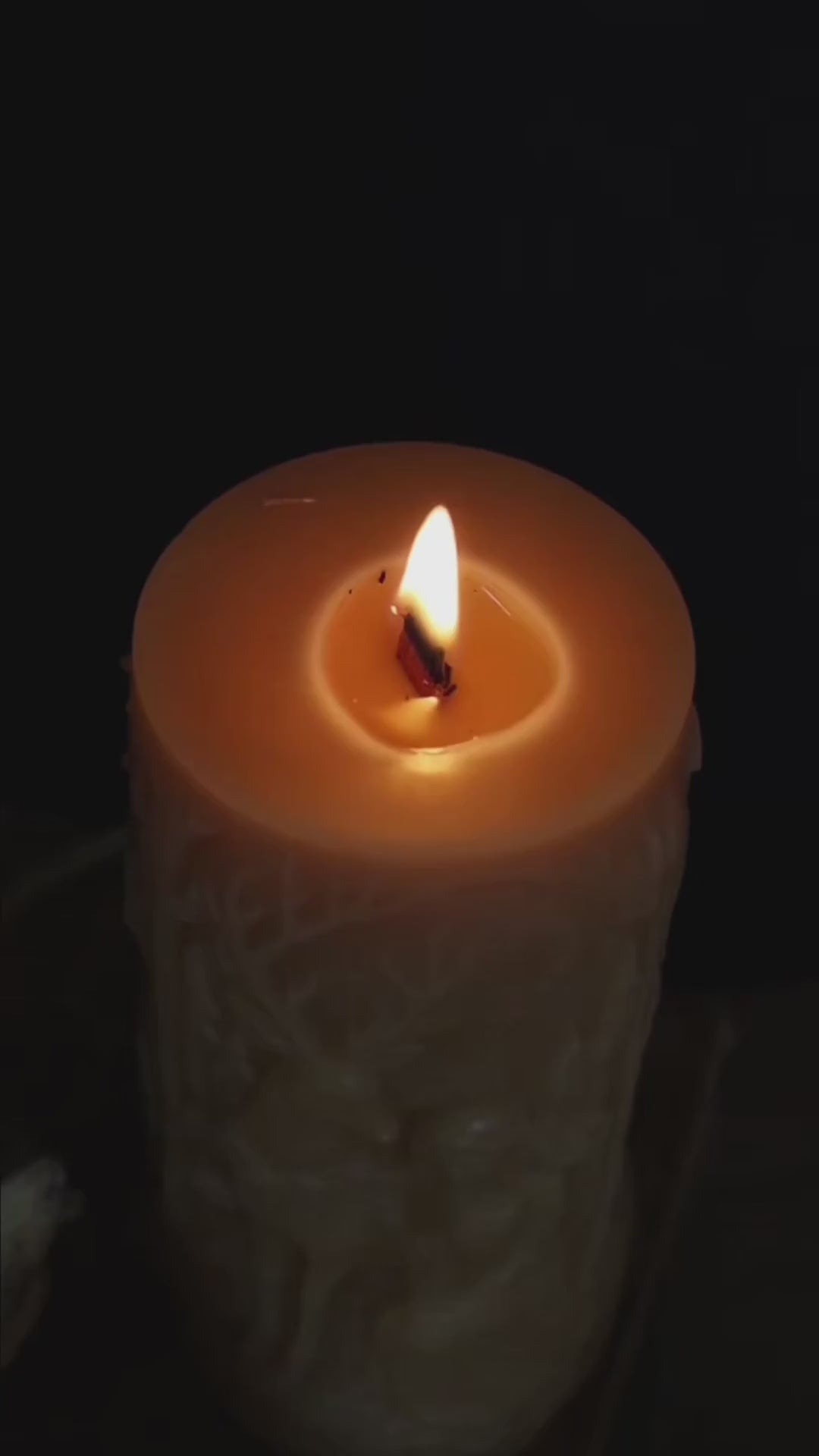 SYLVARA CANDLE | TASMANIAN BEESWAX CANDLE